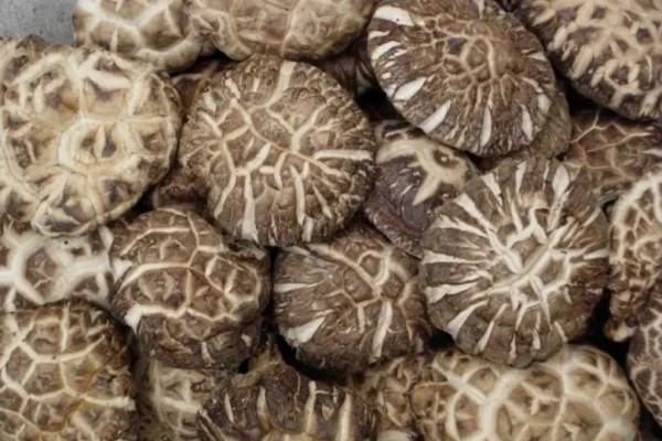 花菇和香菇的營(yíng)養(yǎng)價(jià)值一樣嗎 花菇是香菇嗎