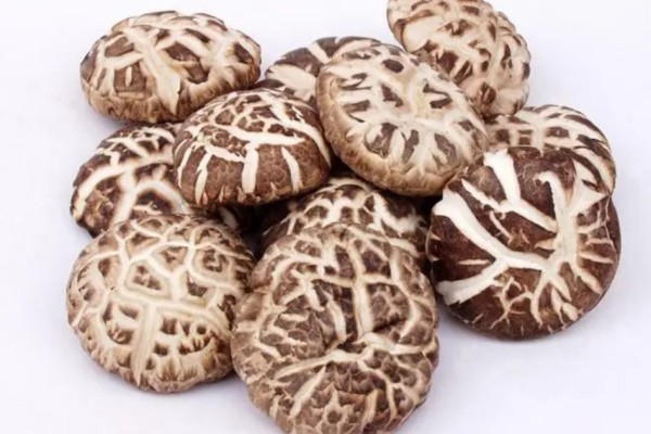 花菇的功效和作用 花菇可以煲湯嗎 花菇的功效和作用 花菇可以煲湯嗎