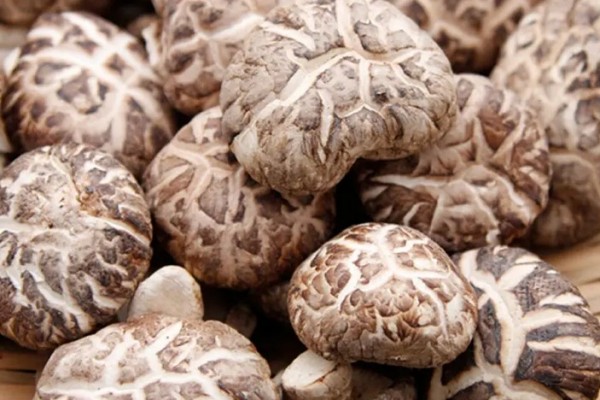 花菇可以燉雞湯嗎 花菇燉湯可以加什么 花菇可以燉雞湯嗎 花菇燉湯可以加什么