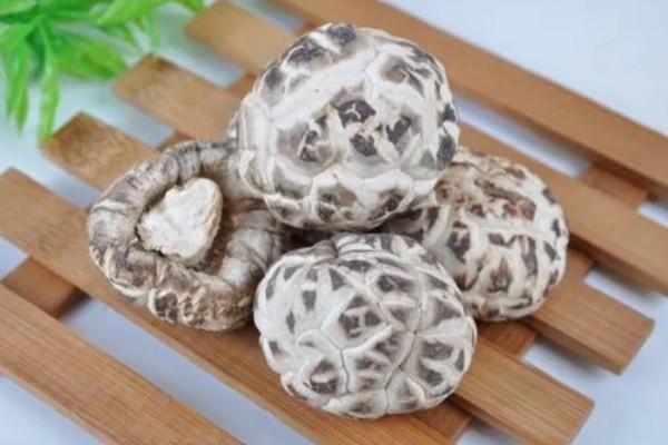 花菇可以燉雞湯嗎 花菇燉湯可以加什么 花菇可以燉雞湯嗎 花菇燉湯可以加什么