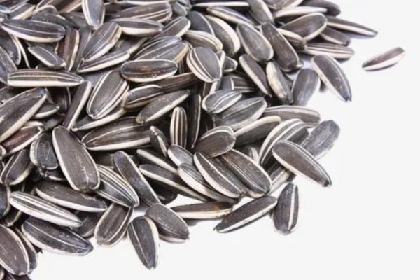 葵瓜子會致癌是真的嗎 葵瓜子對人體有害嗎 葵瓜子會致癌是真的嗎 葵瓜子對人體有害嗎