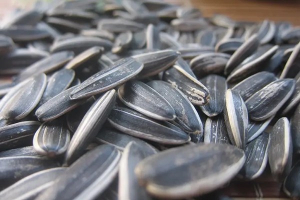 葵瓜子有哪幾種口味 葵瓜子什么地方最好 葵瓜子有哪幾種口味 葵瓜子什么地方最好