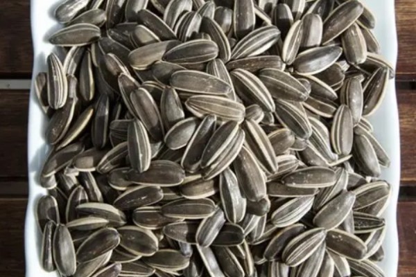 葵瓜子含有雌激素嗎 葵瓜子減肥可以吃嗎 葵瓜子含有雌激素嗎 葵瓜子減肥可以吃嗎