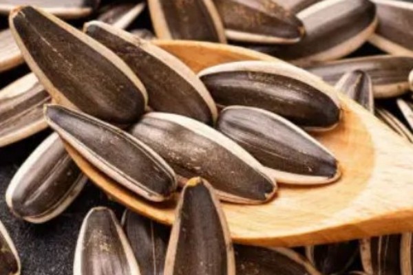 葵瓜子會致癌是真的嗎 葵瓜子對人體有害嗎 葵瓜子會致癌是真的嗎 葵瓜子對人體有害嗎