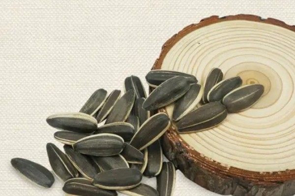 葵瓜子的營養(yǎng)價值和功效 葵瓜子的熱量高嗎 葵瓜子的營養(yǎng)價值和功效 葵瓜子的熱量高嗎