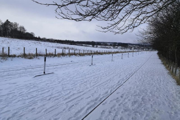 冷空氣發(fā)威上海已見(jiàn)初雪 下雪要注意什么 冷空氣發(fā)威上海已見(jiàn)初雪 下雪要注意什么