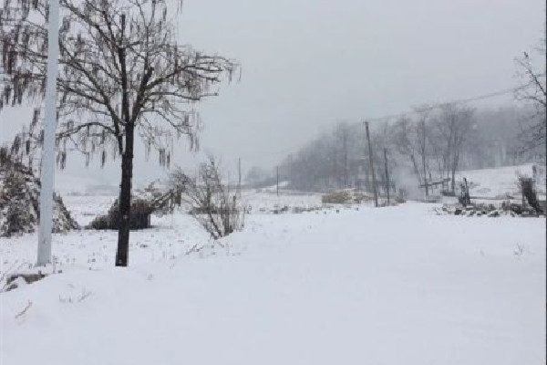冷空氣發(fā)威上海已見(jiàn)初雪 下雪要注意什么 冷空氣發(fā)威上海已見(jiàn)初雪 下雪要注意什么