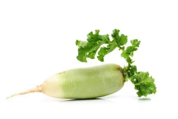 綠蘿卜空心了還能吃嗎 綠蘿卜吃多少合適 綠蘿卜空心了還能吃嗎 綠蘿卜吃多少合適