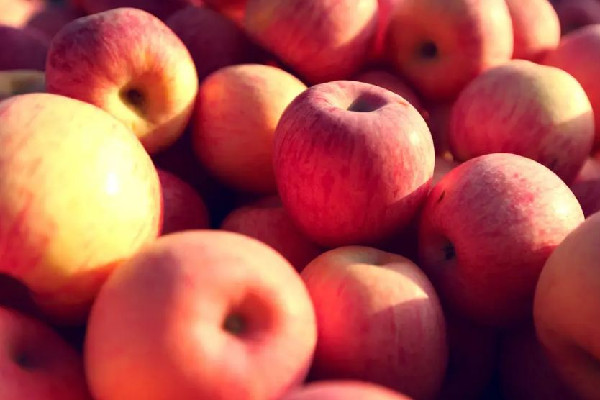 蘋(píng)果天天吃對(duì)身體好嗎 蘋(píng)果真的對(duì)皮膚好嗎 蘋(píng)果天天吃對(duì)身體好嗎 蘋(píng)果真的對(duì)皮膚好嗎