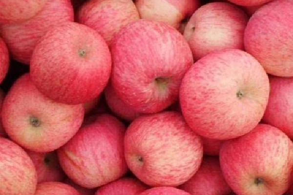 紅富士蘋(píng)果可以儲(chǔ)存多長(zhǎng)時(shí)間 紅富士蘋(píng)果放久了口感發(fā)面嗎