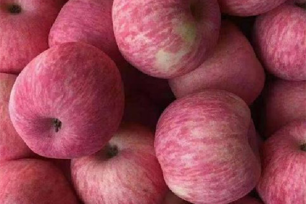 紅富士蘋(píng)果可以儲(chǔ)存多長(zhǎng)時(shí)間 紅富士蘋(píng)果放久了口感發(fā)面嗎