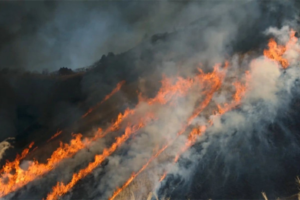 火球墜入浙江警方帶走疑似隕石碎片 發(fā)現(xiàn)火災(zāi)第一時(shí)間應(yīng)該怎么辦