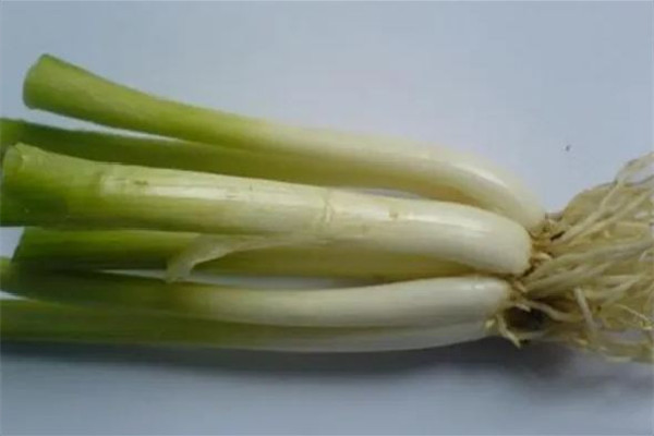 蔥白水可以反復煮嗎 蔥白水要大蔥還是小蔥 蔥白水可以反復煮嗎 蔥白水要大蔥還是小蔥