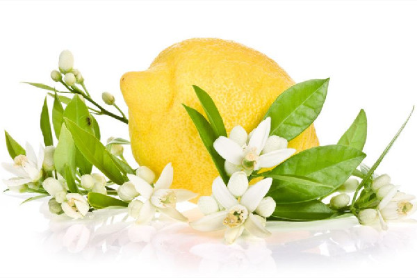 檸檬有農(nóng)藥殘留嗎 檸檬為什么要用鹽搓一下 檸檬有農(nóng)藥殘留嗎 檸檬為什么要用鹽搓一下