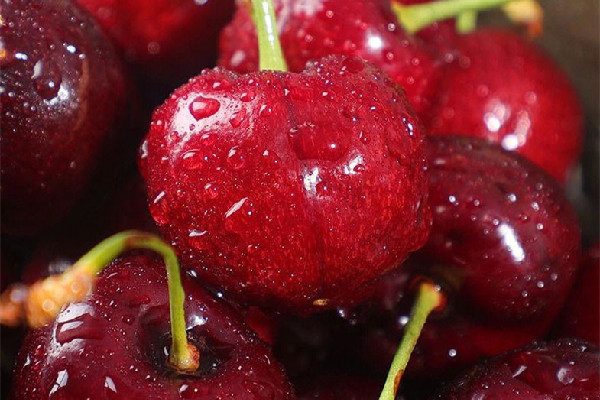 車(chē)?yán)遄右I(mǎi)幾j的 車(chē)?yán)遄淤I(mǎi)多大的合適 車(chē)?yán)遄右I(mǎi)幾j的 車(chē)?yán)遄淤I(mǎi)多大的合適