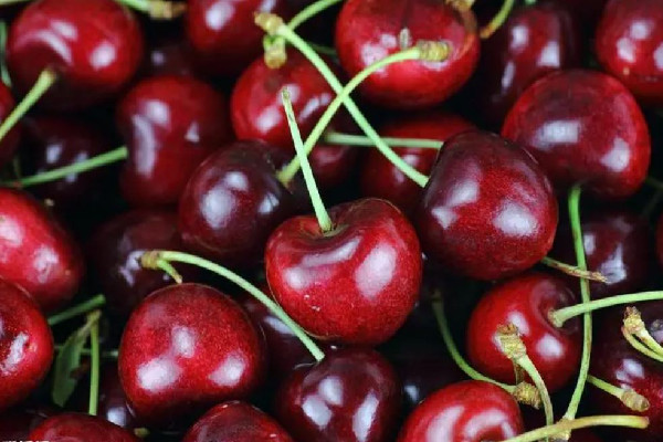 車(chē)?yán)遄右I(mǎi)幾j的 車(chē)?yán)遄淤I(mǎi)多大的合適 車(chē)?yán)遄右I(mǎi)幾j的 車(chē)?yán)遄淤I(mǎi)多大的合適