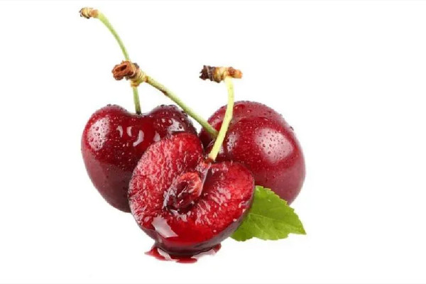 車?yán)遄雍蜋烟沂且粋€(gè)品種嗎 車?yán)遄雍蜋烟夷姆N貴 車?yán)遄雍蜋烟沂且粋€(gè)品種嗎 車?yán)遄雍蜋烟夷姆N貴