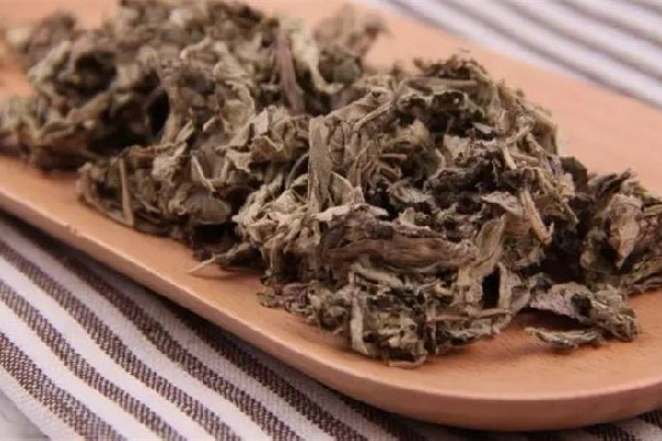 艾草用沸水煮才能用嗎 艾草用開水煮好還是溫水泡好 艾草用沸水煮才能用嗎 艾草用開水煮好還是溫水泡好