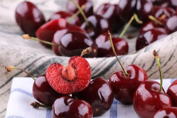 車?yán)遄雍蜋烟沂且粋€(gè)品種嗎 車?yán)遄雍蜋烟夷姆N貴 車?yán)遄雍蜋烟沂且粋€(gè)品種嗎 車?yán)遄雍蜋烟夷姆N貴