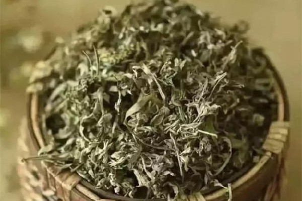 艾草有辟邪的作用嗎 艾草適合什么人群服用 艾草有辟邪的作用嗎 艾草適合什么人群服用