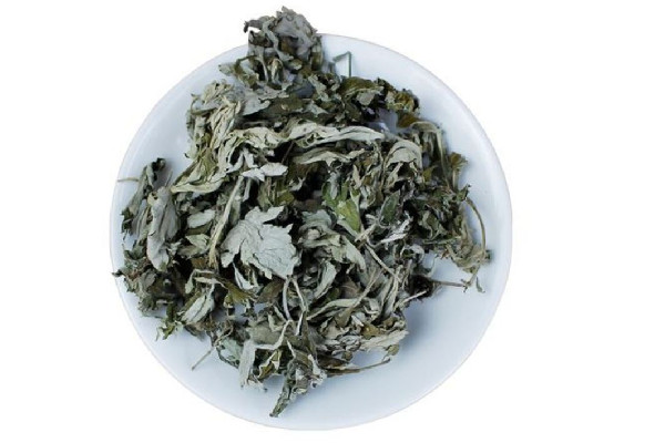 艾草適合天天熏嗎 艾草熏多了會(huì)怎樣 艾草適合天天熏嗎 艾草熏多了會(huì)怎樣