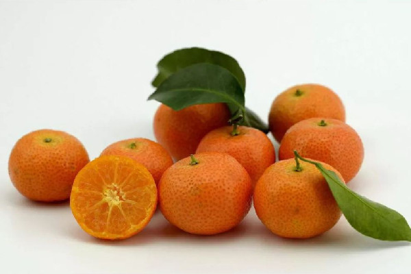 砂糖橘要怎么選 砂糖橘大了好還是小的好 砂糖橘要怎么選 砂糖橘大了好還是小的好