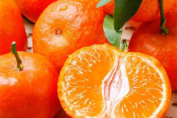 砂糖橘可以和梨一起煮湯嗎 砂糖橘煮水喝的功效 砂糖橘可以和梨一起煮湯嗎 砂糖橘煮水喝的功效