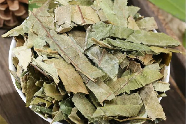 枇杷葉和什么一起煮止咳效果好 枇杷葉可以和梨子冰糖一起燉嗎