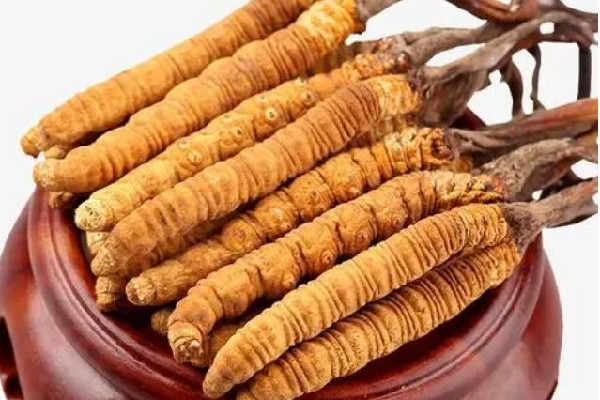 冬蟲(chóng)夏草可以放多久 冬蟲(chóng)夏草會(huì)發(fā)霉嗎 冬蟲(chóng)夏草可以放多久 冬蟲(chóng)夏草會(huì)發(fā)霉嗎