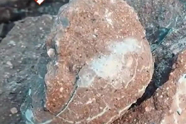 男子散步時(shí)意外發(fā)現(xiàn)恐龍蛋化石 恐龍化石是怎么形成的