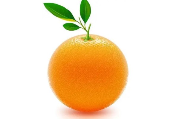 橙子怎么保存時(shí)間長(zhǎng) 橙子可以放冰箱保鮮嗎 橙子怎么保存時(shí)間長(zhǎng) 橙子可以放冰箱保鮮嗎