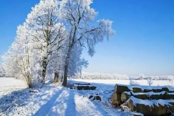 數(shù)九要注意什么 數(shù)九會做些什么 數(shù)九要注意什么 數(shù)九會做些什么