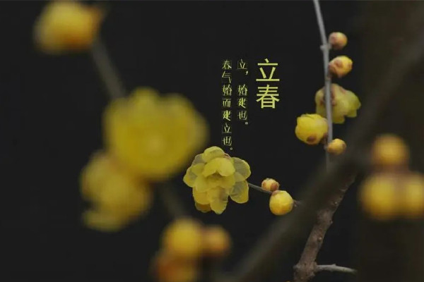 立春是2023年幾月幾日 立春是24節(jié)氣的第一個(gè)節(jié)氣嗎