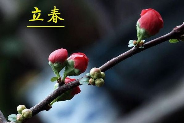 立春有什么講究和禁忌 立春回娘家有什么說(shuō)法