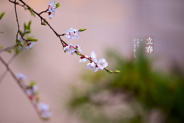 立春是2023年幾月幾日 立春是24節(jié)氣的第一個節(jié)氣嗎 立春是2023年幾月幾日 立春是24節(jié)氣的第一個節(jié)氣嗎