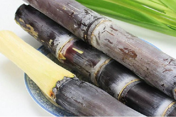 甘蔗做出來(lái)的是紅糖還是白糖 甘蔗含糖量是多少 甘蔗做出來(lái)的是紅糖還是白糖 甘蔗含糖量是多少