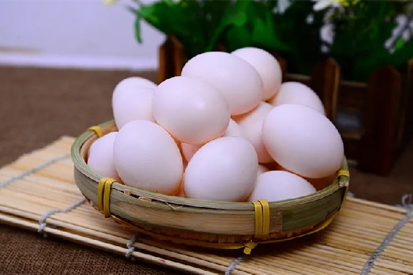 上海一日料店烤2個鴿子蛋標價50元 鴿子蛋的功效和作用