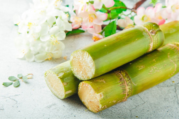 甘蔗做出來(lái)的是紅糖還是白糖 甘蔗含糖量是多少 甘蔗做出來(lái)的是紅糖還是白糖 甘蔗含糖量是多少