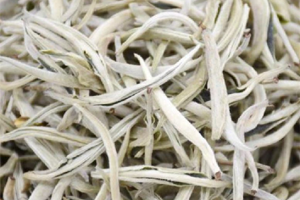 白毫銀針可以存放多久 白毫銀針放冰箱儲(chǔ)存好嗎