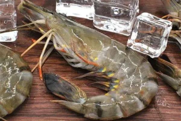 黑虎蝦的蝦線怎么挑 黑虎蝦要去蝦線嗎 黑虎蝦的蝦線怎么挑 黑虎蝦要去蝦線嗎