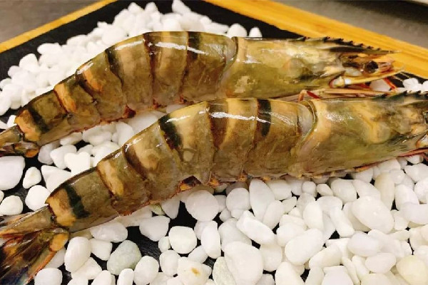 黑虎蝦的蝦線怎么挑 黑虎蝦要去蝦線嗎 黑虎蝦的蝦線怎么挑 黑虎蝦要去蝦線嗎