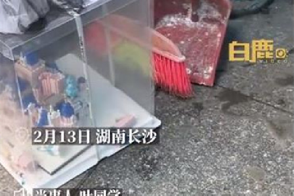 女生情人節(jié)垃圾桶撿到積木城堡 積木可以搭成什么 女生情人節(jié)垃圾桶撿到積木城堡 積木可以搭成什么