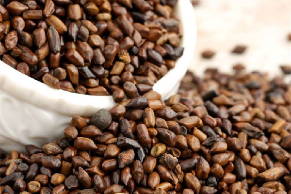 決明子治療眼睛的用法 決明子對(duì)近視眼有效嗎 決明子治療眼睛的用法 決明子對(duì)近視眼有效嗎