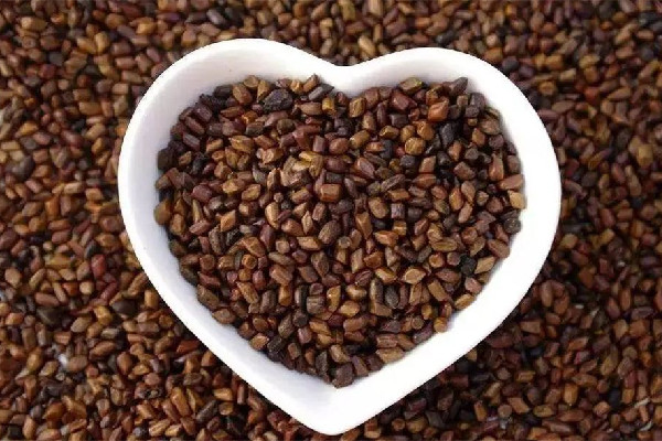 決明子可以做枕頭睡嗎 決明子做枕頭有什么好處 決明子可以做枕頭睡嗎 決明子做枕頭有什么好處