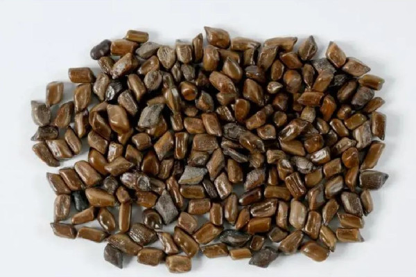 決明子治療眼睛的用法 決明子對(duì)近視眼有效嗎 決明子治療眼睛的用法 決明子對(duì)近視眼有效嗎