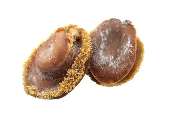 干鮑魚吃起來是不是有點甜 干鮑魚什么味道 干鮑魚吃起來是不是有點甜 干鮑魚什么味道