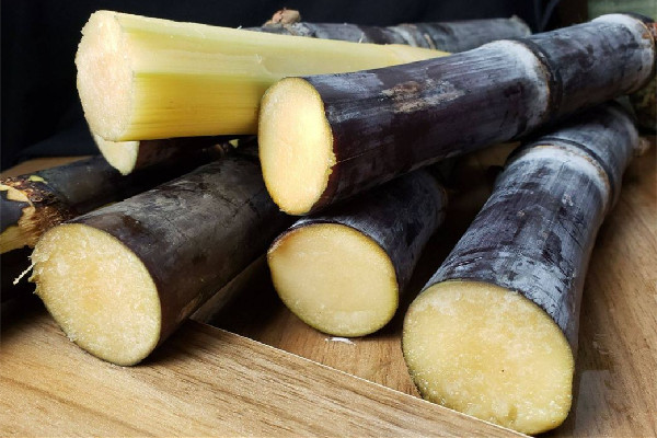 女生寒假兼職削甘蔗累到繃不住 甘蔗是不是水果 女生寒假兼職削甘蔗累到繃不住 甘蔗是不是水果