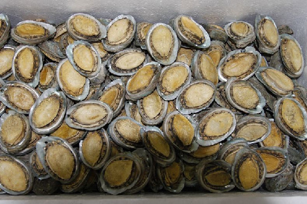 干鮑魚會(huì)不會(huì)越煮越老 干鮑魚煮多久才可以吃 干鮑魚會(huì)不會(huì)越煮越老 干鮑魚煮多久才可以吃