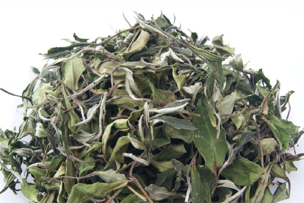 白牡丹茶喝了會(huì)失眠嗎 白牡丹茶對(duì)身體好嗎 白牡丹茶喝了會(huì)失眠嗎 白牡丹茶對(duì)身體好嗎