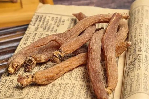 紅參適合什么體質(zhì)的人服用 紅參適合男人吃還是女人吃 紅參適合什么體質(zhì)的人服用 紅參適合男人吃還是女人吃